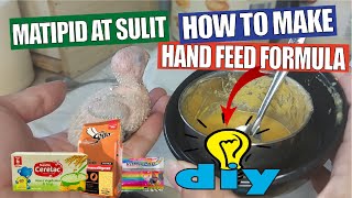 HOW TO MAKE HAND FEEDING FORMULA FOR CONURE COCKATIEL PARROT BIRDS  DIY [upl. by Neelyak]