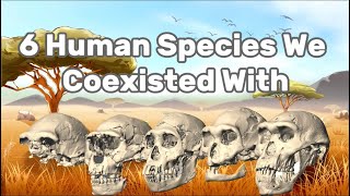 6 Ancient Human Species We Once CoExisted With [upl. by Adnola]