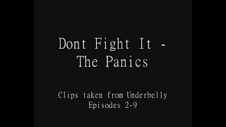 The Panics  Dont Fight It [upl. by Llehctim]