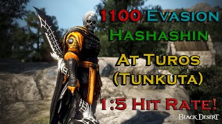 TUNKUTA TUROS VS 1100 EVASION HASHASHIN 368 DP [upl. by Licha]