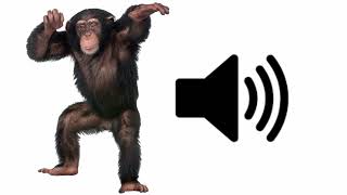 Angry Monkey  Sound Effect [upl. by Hailee]