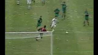 Mgladbach  Wolfsburg  DFBPokal Finale  199495 [upl. by Aisyle]