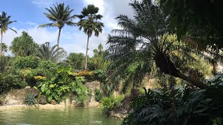 Le Nord Basse Terre  Holidays to  Guadeloupe 4K  FRENCH CARIBBEAN HD [upl. by Nortal]