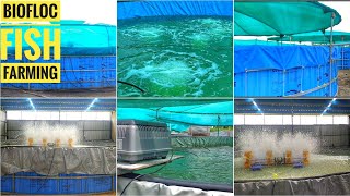 Biofloc Tank Aeration Air Pump System  Biofloc Fish Farming Technology [upl. by Bloch]