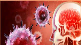 🔴Understanding Encephalitis The Basics 📰 Encephalitis vs meningitis 📰 [upl. by Casteel]