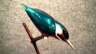 Kingfisher by Tim Cotterill Frogman [upl. by Quackenbush276]