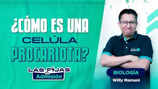 CÉLULA PROCARIOTA  BIOLOGÍA💚☘️  LAS FIJAS UNMSM💙 [upl. by Richer363]