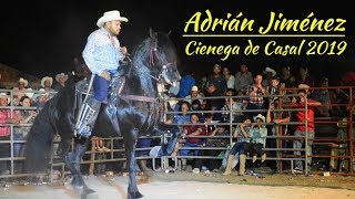 🏆1° ADRIAN JIMENEZ Caballos Bailadores Ciénega de Casal [upl. by Naz382]