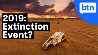 Are we in the Middle of Earths 6th Mass Extinction  BTN Explains [upl. by Ayaj9]