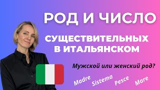 Итальянские Существительные ВСЁ ЧТО НУЖНО ЗНАТЬ НАЧИНАЮЩИМ [upl. by Adahsar]