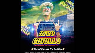 Afro Criollo🇻🇪 Al estilo de ProdBrayan HD Dj Anel Ramirez The Bad Boy [upl. by Yrram548]