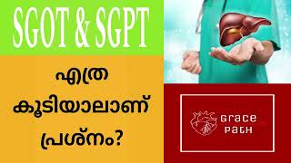 Are all SGOT  SGPT levels above normal range dangerous Malayalam [upl. by Tnelc]