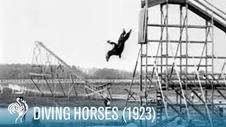 Diving Horses A Wild Attraction for the Daring Rider 1923  British Pathé [upl. by Donny]