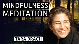 Meditation with Tara Brach Developing SelfCompassion [upl. by Lutim195]