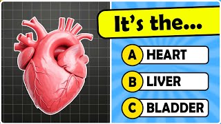 How Many Human Body Parts Can You Guess 🧠🦴🦵  General Knowledge Quiz [upl. by Cela]