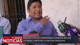 Producción de camarones en la región Arequipa aumentó en los últimos tres años [upl. by Nylrahs]