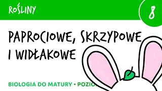 Paprocie skrzypy widłaki  paprotniki  Rośliny 8  matura liceum biologia rozszerzona [upl. by Jezabella454]