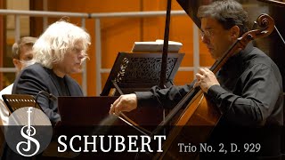 Schubert  Piano Trio No 2 in Eflat major op 100 D929 [upl. by Tnahsarp]