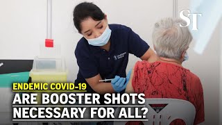 Are booster shots necessary for all  Endemic Covid19  ST Connect [upl. by Feerahs34]