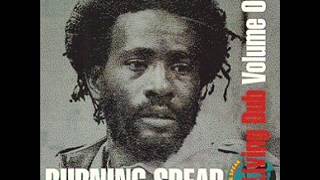 Burning Spear Hill Street Dubwmv [upl. by Buchalter]