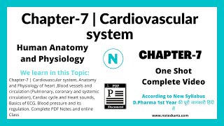 The Circulatory System [upl. by Regnij]