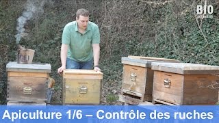 L’apiculture bio au cours de l’année – Contrôle des ruches partie 16 [upl. by Ariane]