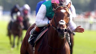 Frankel is flawless in 2012 Juddmonte International Stakes [upl. by Aurlie]