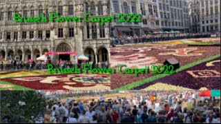 Brussels Flower Carpet Show [upl. by Gert157]