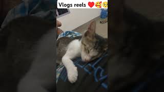 YouTube power of money 🤑🤑 vlogs viral shorts ytshorts MFVlogs0786ytshortsyoutubeshor [upl. by Aivonas]