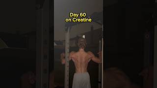 2 Month Creatine Transformation💪 gym creatine transformation homegym workout [upl. by Nerreg]