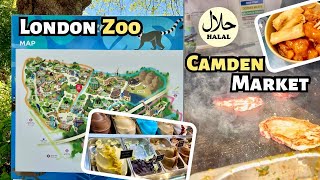 London Zoo  HALAL Food at Camden Market [upl. by Mirella]