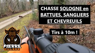 CHASSE SOLOGNE en BATTUES  TIRS DE 4 SANGLIERS et 2 CHEVREUILS à 10m [upl. by Chelsy]