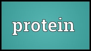 Protein Meaning [upl. by Tamera612]