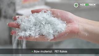 PET flakes pelletizing machine with Crystallizer Aceretech 2024 [upl. by Nohpets]