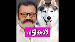 മലയാള നടന്മാരുടെ പട്ടികൾ😱വില കേട്ടാൽ കിളിപോകും😵DOGS OF MALAYALAM ACTORS [upl. by Repard]