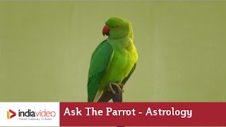 Ask The Parrot  Astrology  India Video [upl. by Meneau]