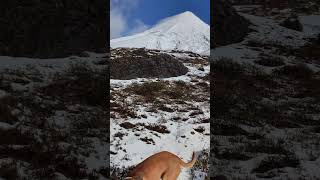 TREKKING PASO DE DESOLACIÓN VOLCAN OSORNO [upl. by Kerrie]