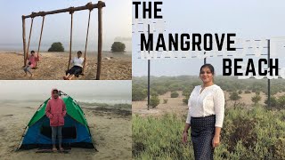 BEACH CAMPING  MANGROVE CAMPING IN UAQ  UMM AL QUWAIN MANGROVE BEACH  UAE BEACH CAMPING [upl. by Bartholomew]