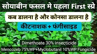 सोयाबीन फसल में कीटनाशक का पहला स्प्रे Soybean crop top first sprey in insecticide [upl. by Aik610]