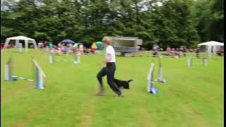 Scottie Finnlay learns Agility [upl. by Adnawat]