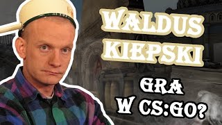 Walduś Kiepski gra w CSGO Troll w CSie 9 [upl. by Joyan]