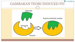 Enzim Biologi  SBMPTN UN SMA Cara Kerja Enzim [upl. by Skantze59]