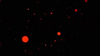 Smooth red dust particles background free fullHD VFX [upl. by Ernest]