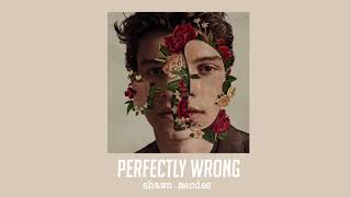 Perfectly Wrong by Shawn Mendes  Slowed  Reverb [upl. by Polik]