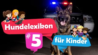 Hundelexikon für Kinder  Folge 5  Hunde und Ihre Berufe [upl. by Joya]