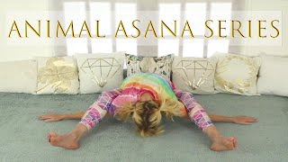 Animal Asana Series  Kurmasana [upl. by Aoniak810]