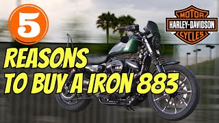 5 Reasons To Buy a Harley Davidson Sportster Iron 883 [upl. by Ragas175]