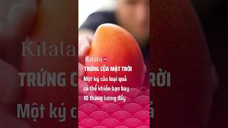 Trứng của mặt trời khiến bạn bay 10 tháng lương đấy kilala kilalavn [upl. by Yesak801]