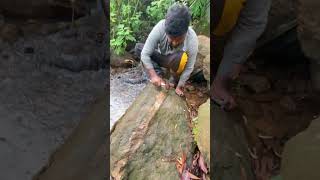 Really Hard To Crack It 🤯 crystals gems gold rockhounding satisfying [upl. by Adiarf]