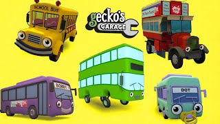 Counting Five Big Buses  Geckos Garage  Educational Videos For Toddlers  Buses For Children [upl. by Haldis]